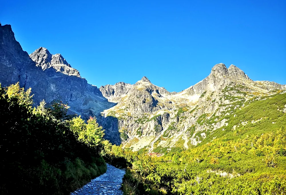 A sunlit mountain trail leading toward bright peaks under a clear blue sky.