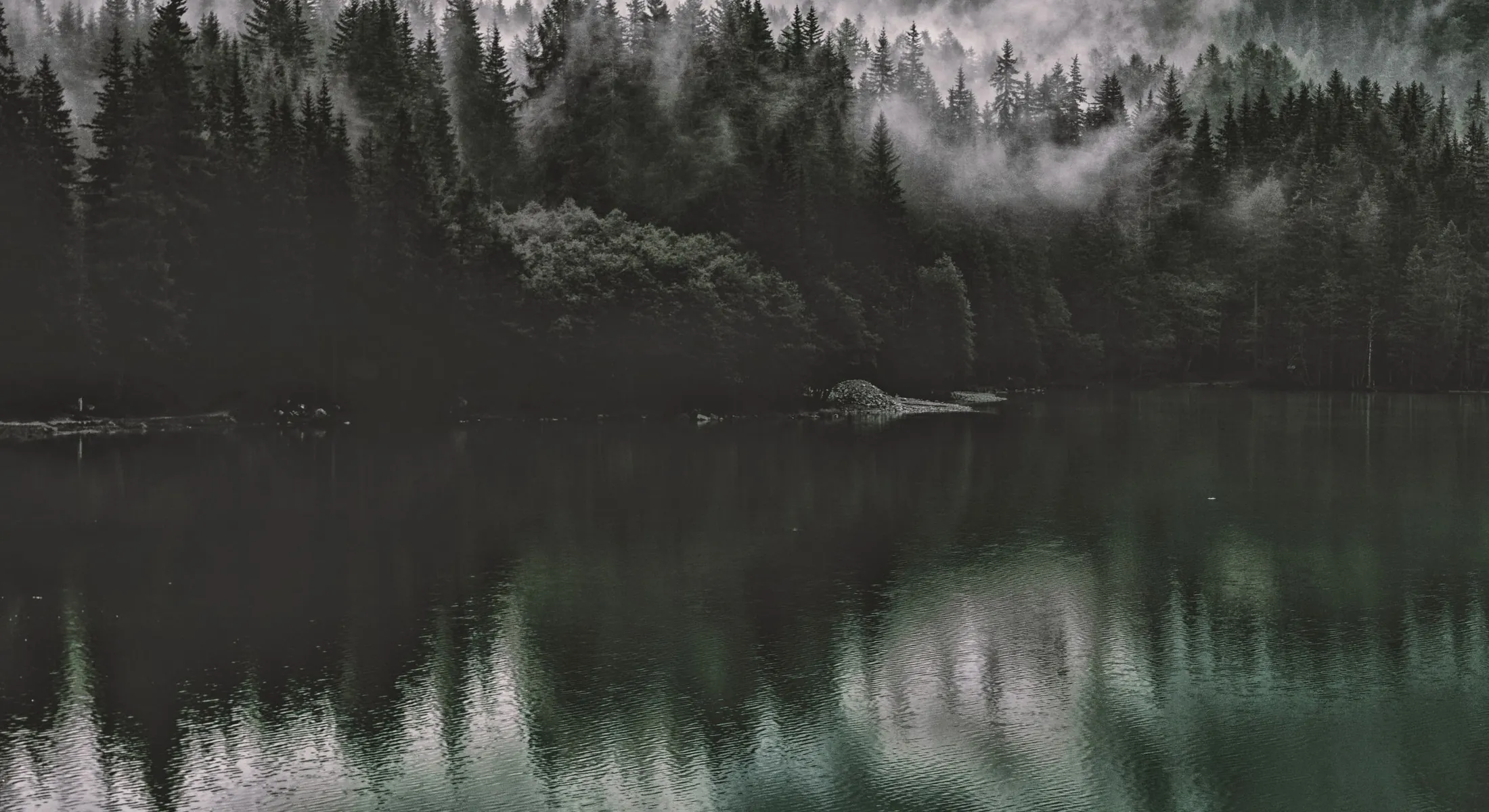 A misty evergreen forest reflected in the still surface of a mountain lake at dawn.